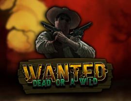 Wanted Dead or a Wild game artwork